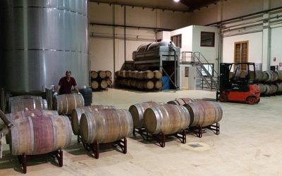 05 étapes essentielles à la fabrication du vin