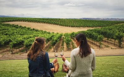 Découvrir les vins bionadynamiques plus respectueux de l’environnement